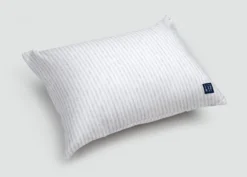 BabyGap Toddler Pillow With 2 Cooling Covers